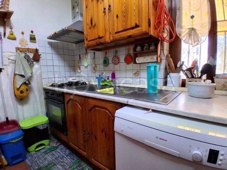 immagine annuncio 7 di 12