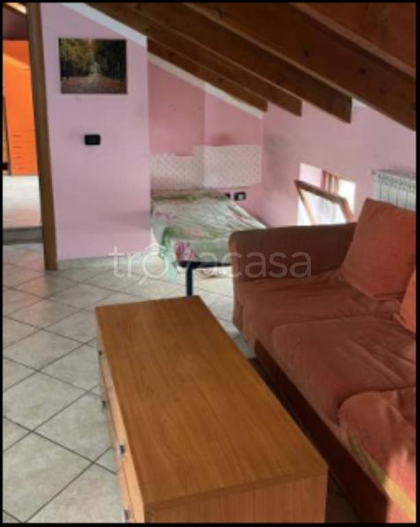 immagine annuncio 5 di 12