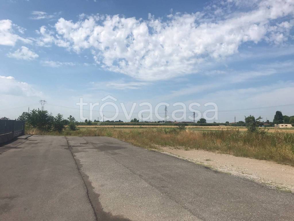 immagine annuncio 3 di 11