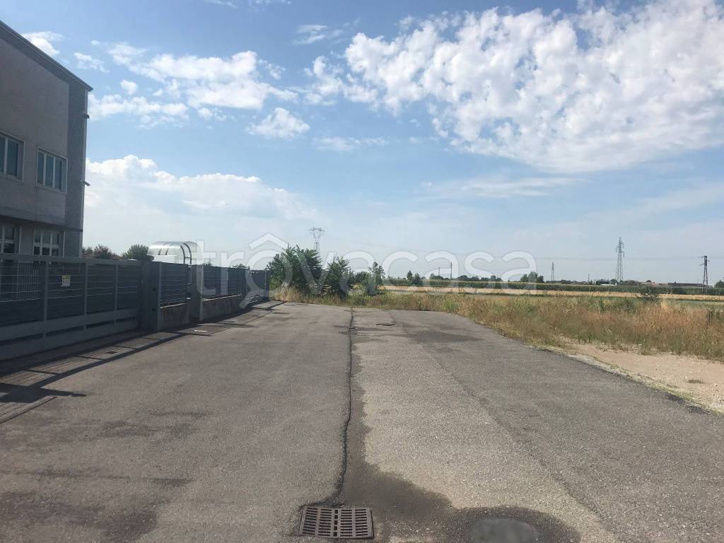 immagine annuncio 5 di 11