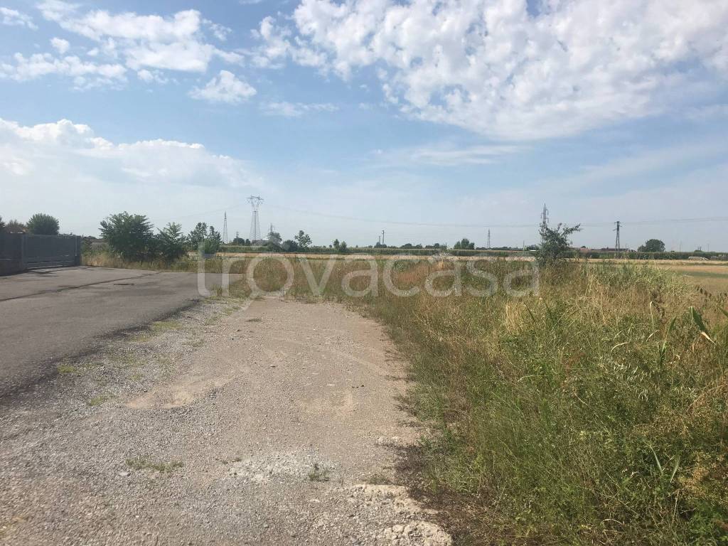 immagine annuncio 6 di 11