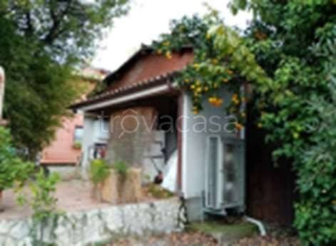 immagine annuncio 2 di 7