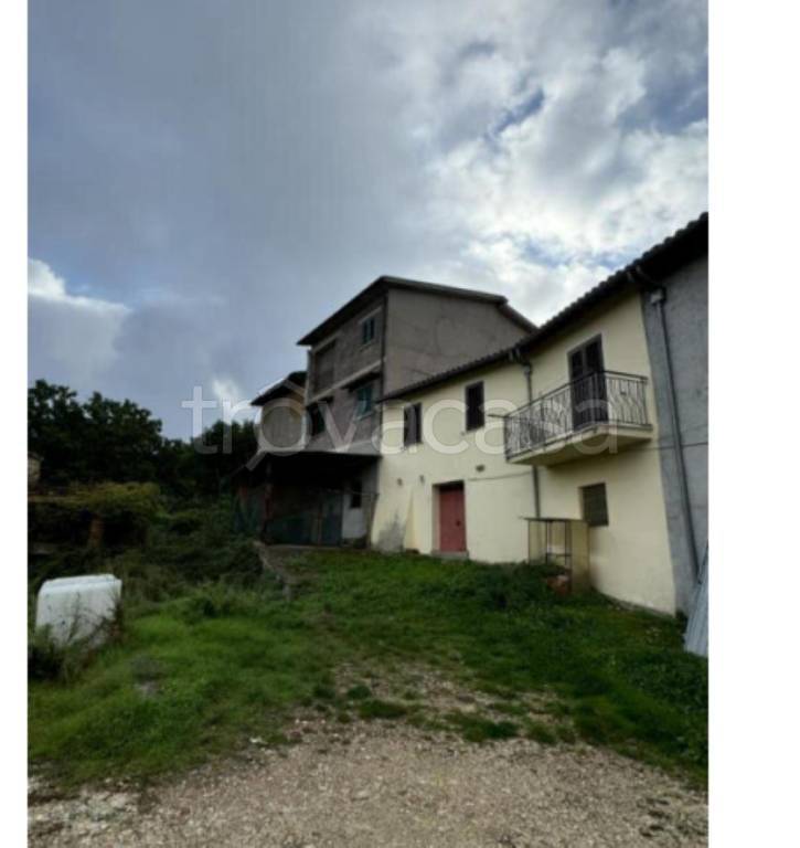 immagine annuncio 4 di 11