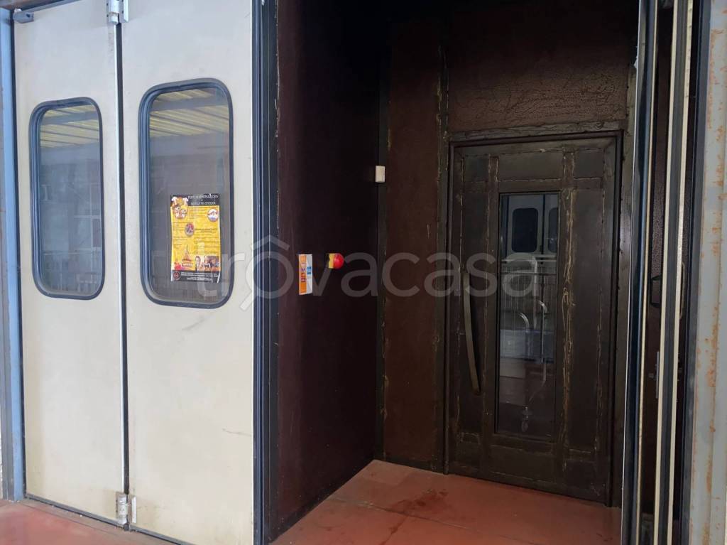 immagine annuncio 1 di 13