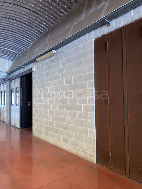 immagine annuncio 3 di 13