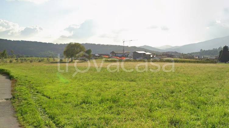 immagine annuncio 6 di 11