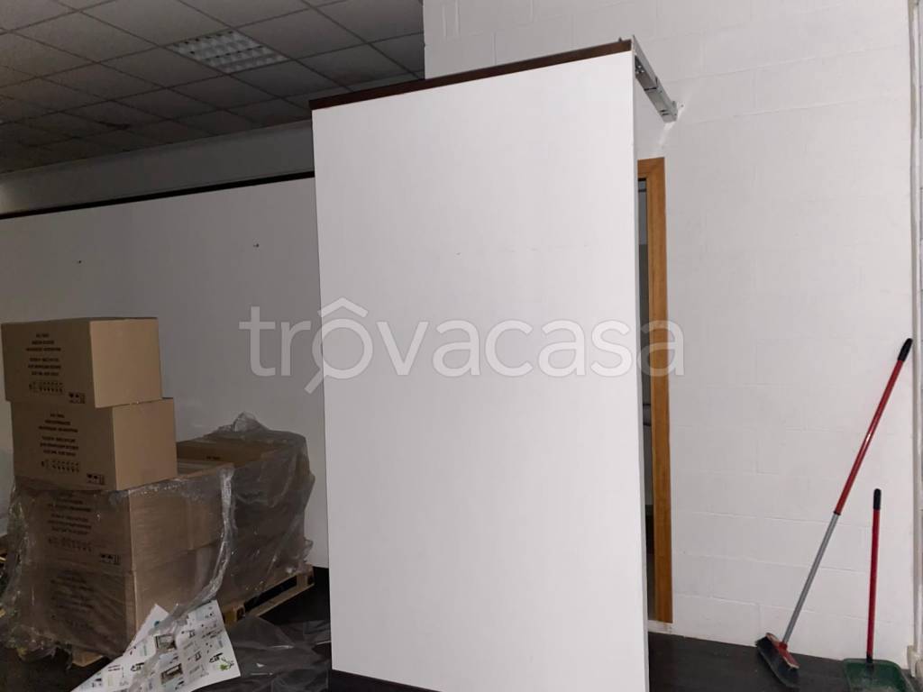 immagine annuncio 11 di 13