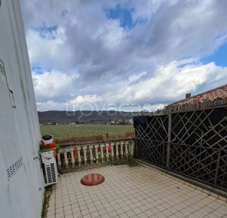 immagine annuncio 5 di 14