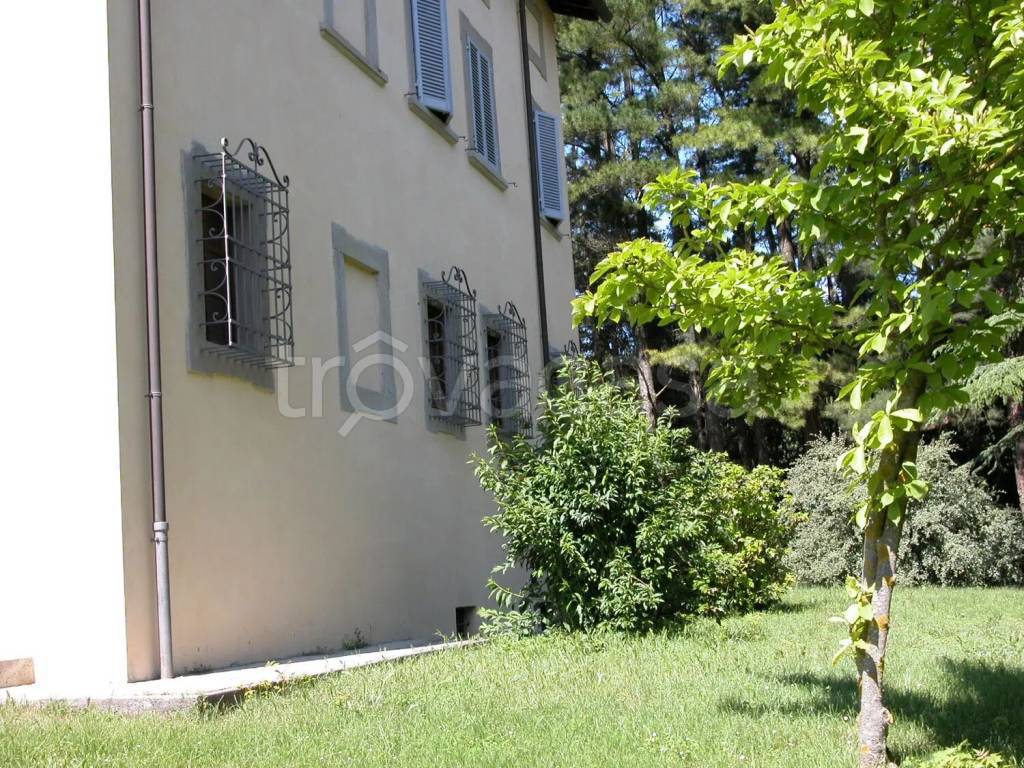 immagine annuncio 2 di 7