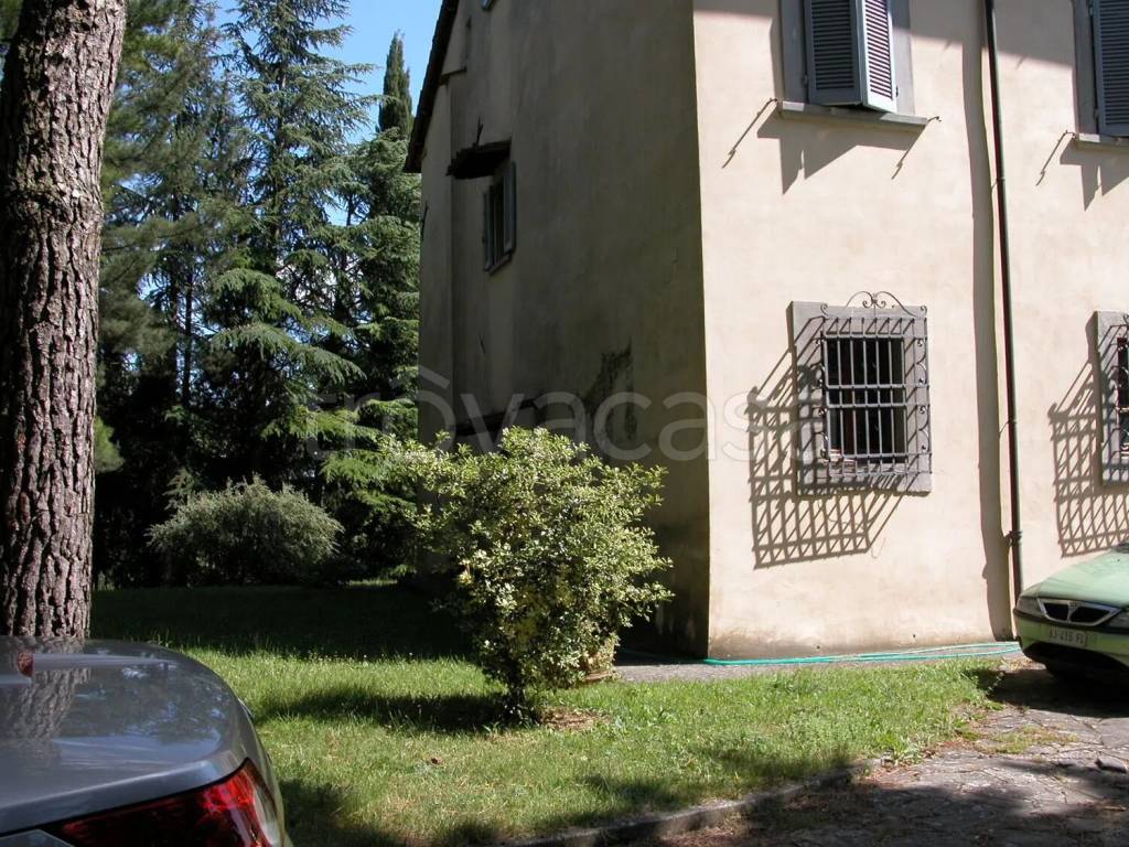 immagine annuncio 4 di 7