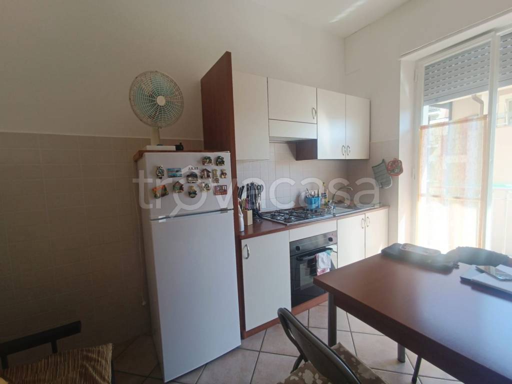 immagine annuncio 2 di 12