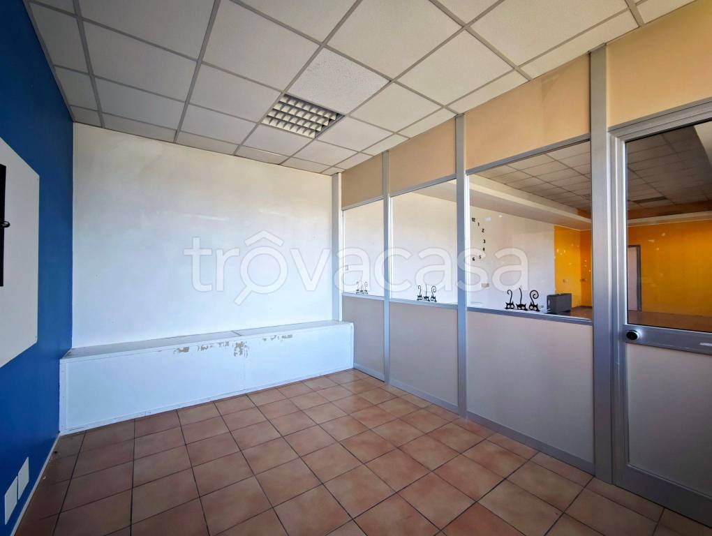 immagine annuncio 3 di 9