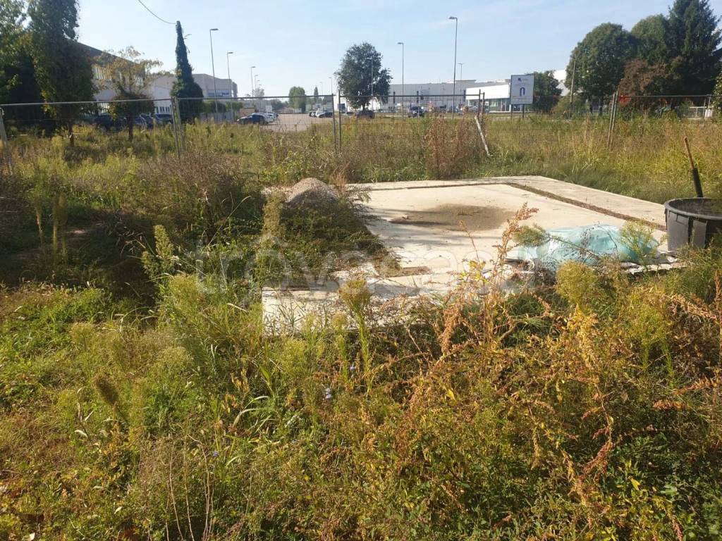 immagine annuncio 2 di 3