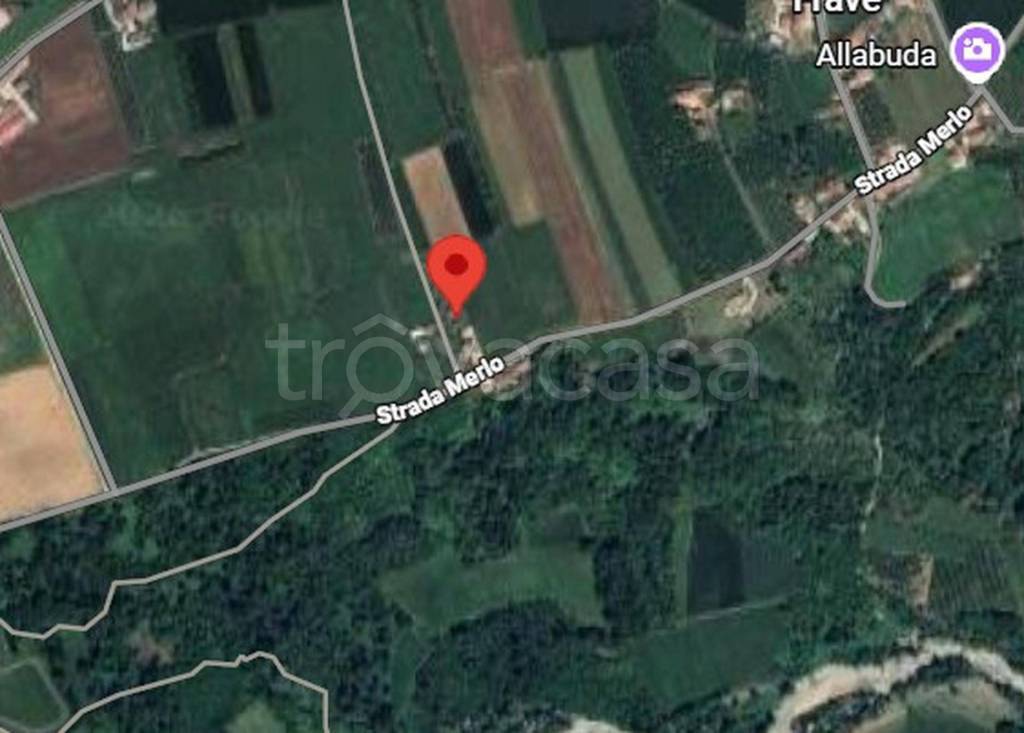 immagine annuncio 5 di 9