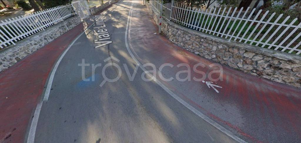 immagine annuncio 8 di 12