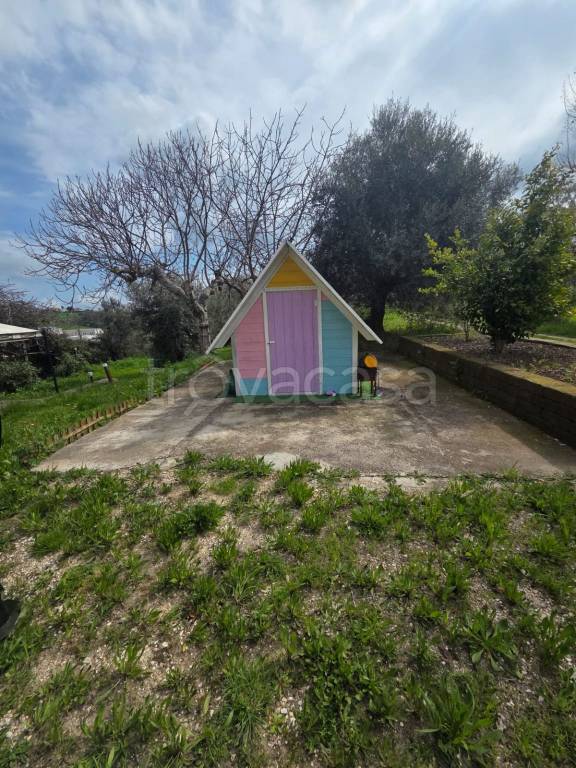 immagine annuncio 9 di 15