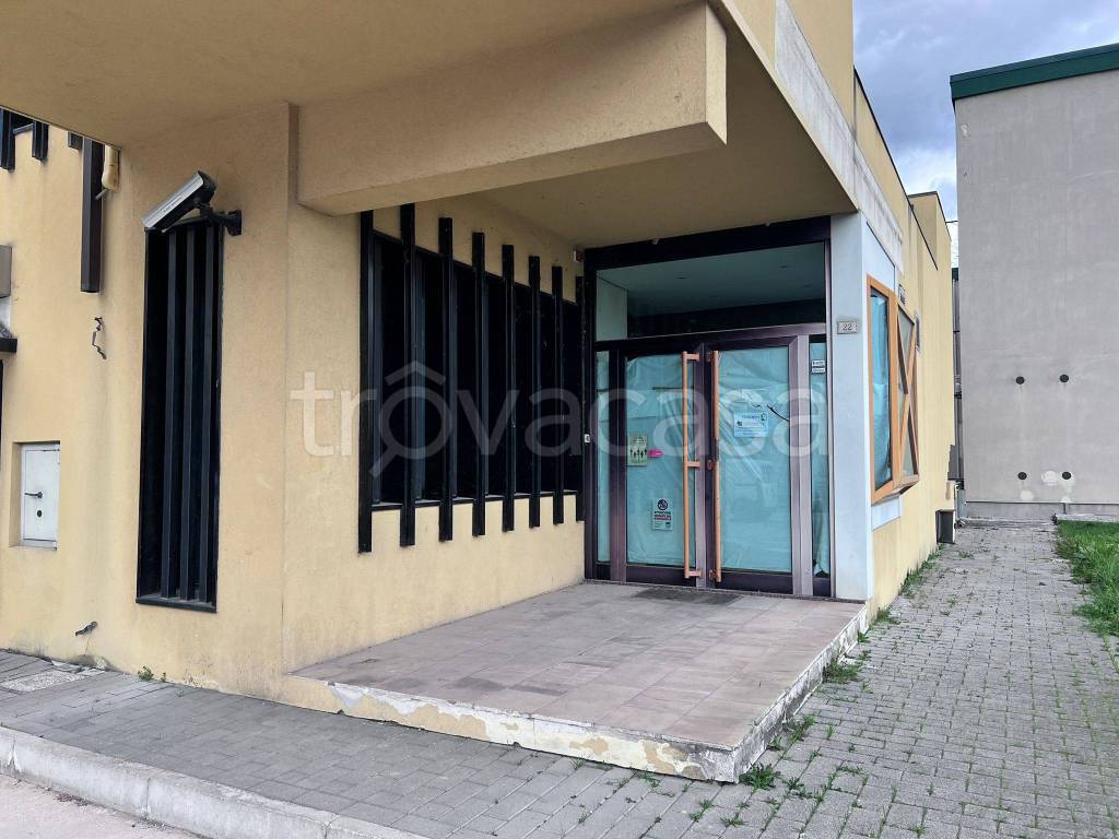 immagine annuncio 2 di 12