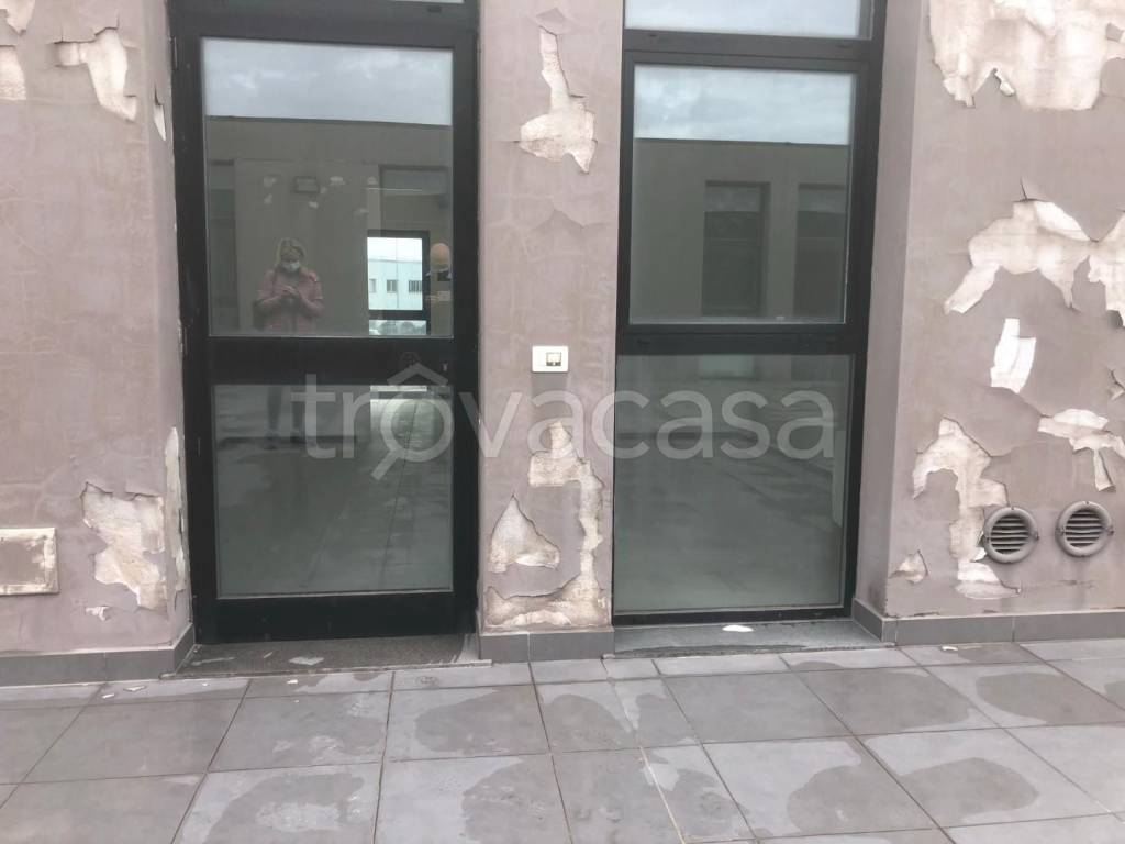 immagine annuncio 8 di 9