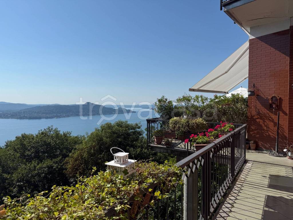 immagine annuncio 4 di 12