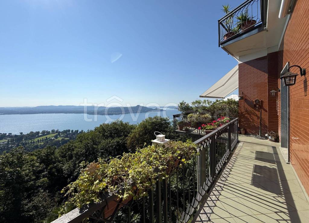 immagine annuncio 3 di 12