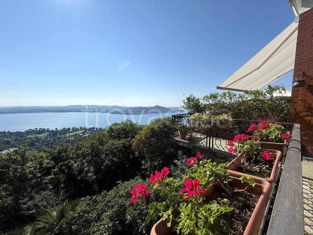 immagine annuncio 2 di 12