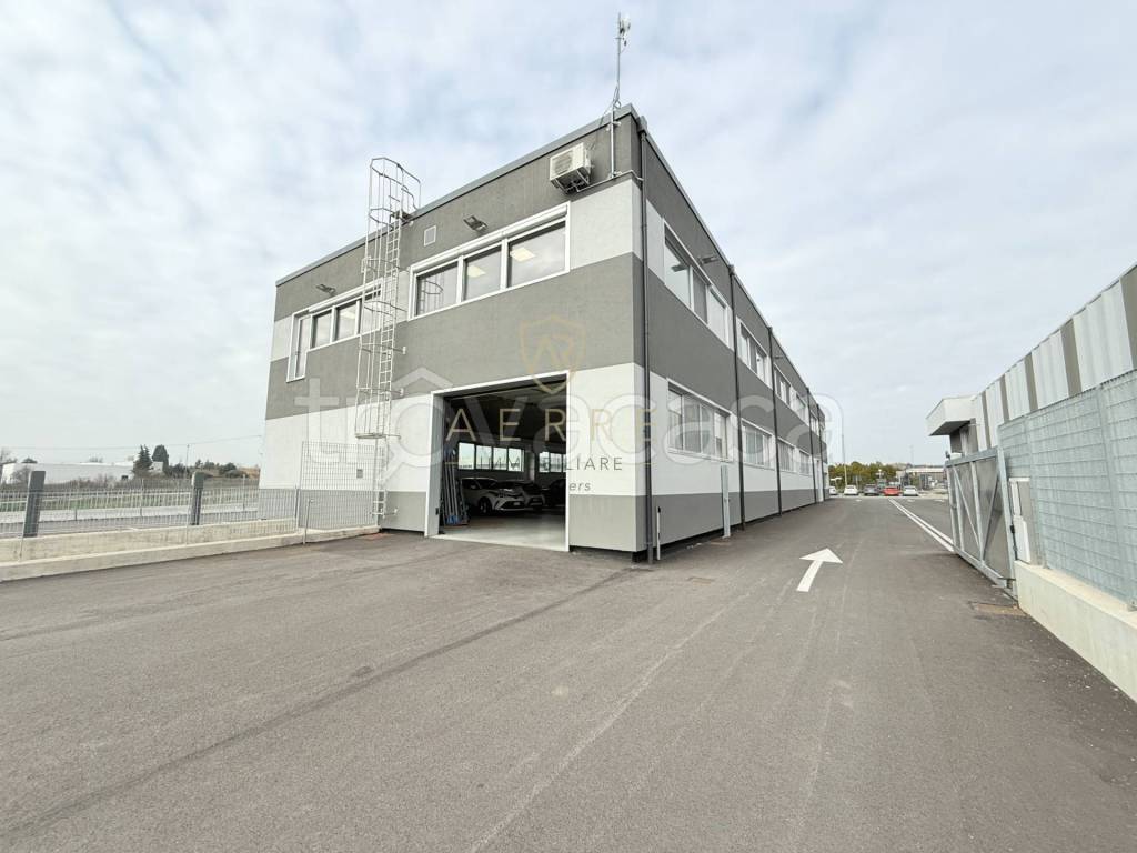 immagine annuncio 8 di 15