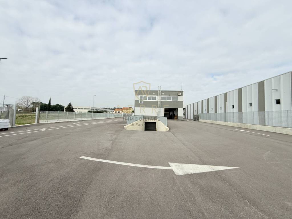 immagine annuncio 12 di 15