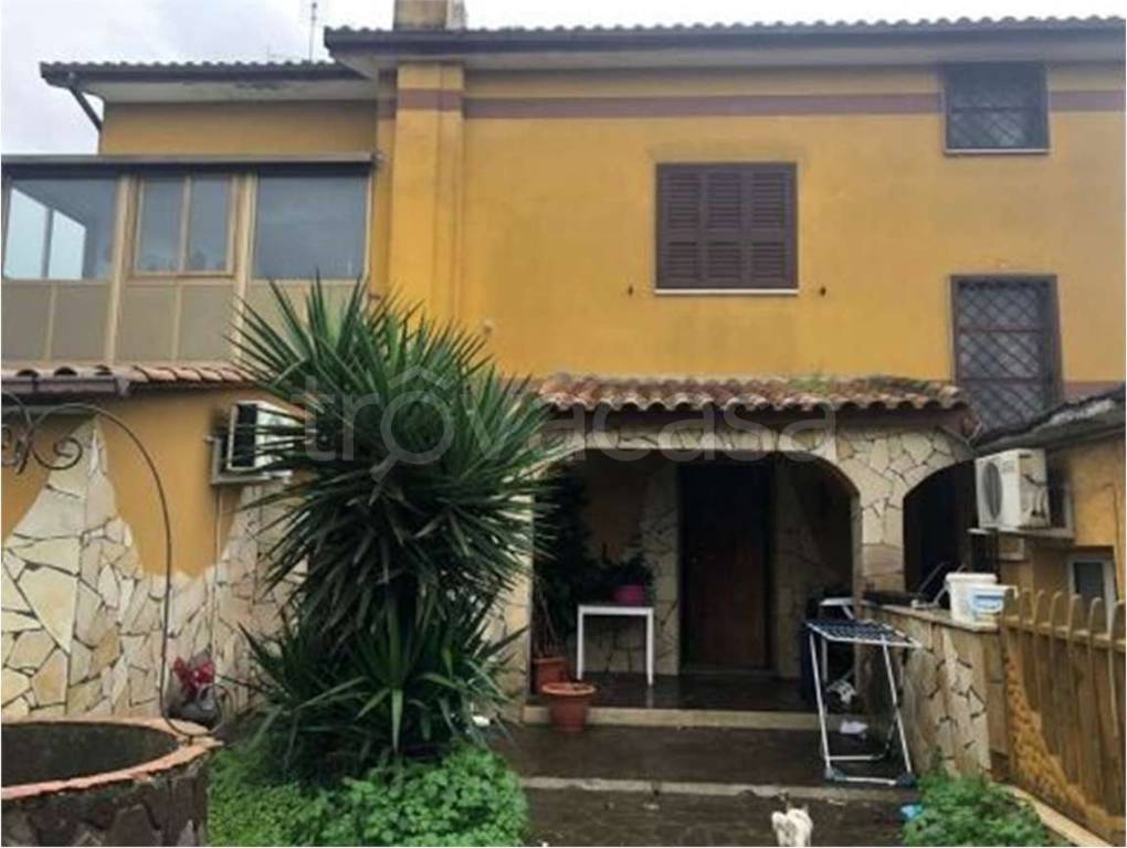 immagine annuncio 2 di 7