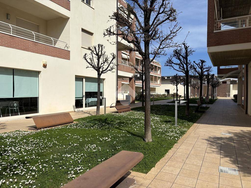 immagine annuncio 2 di 14