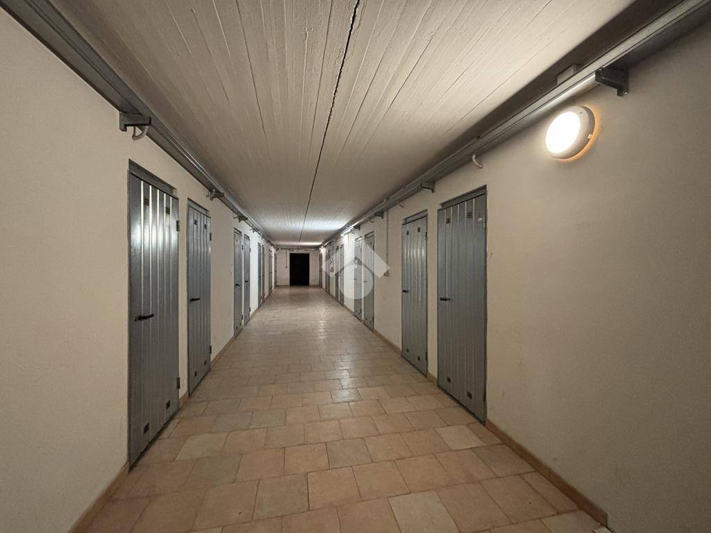 immagine annuncio 7 di 14