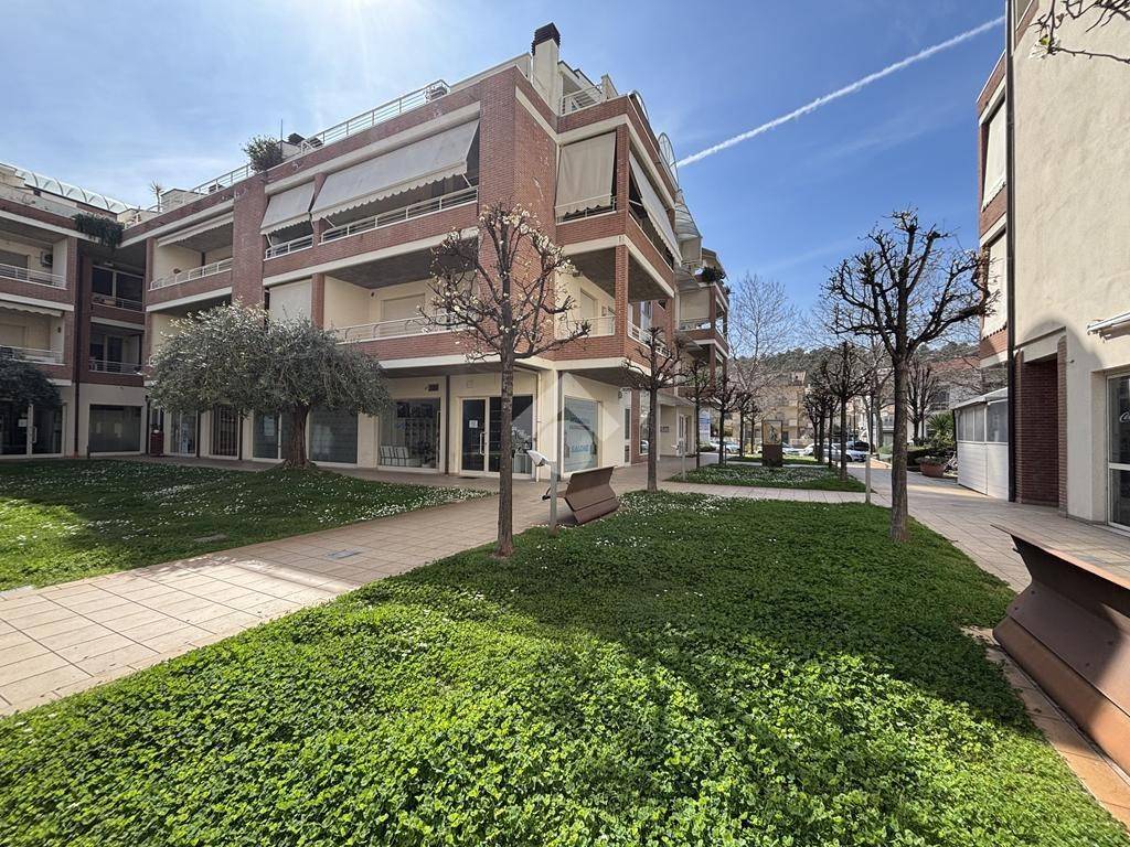 immagine annuncio 12 di 14