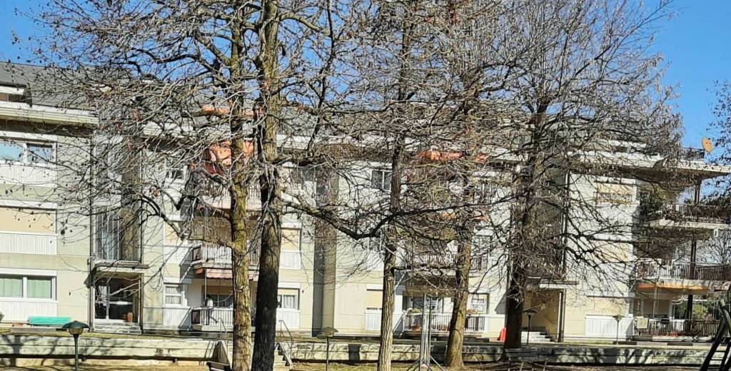 immagine annuncio 4 di 7