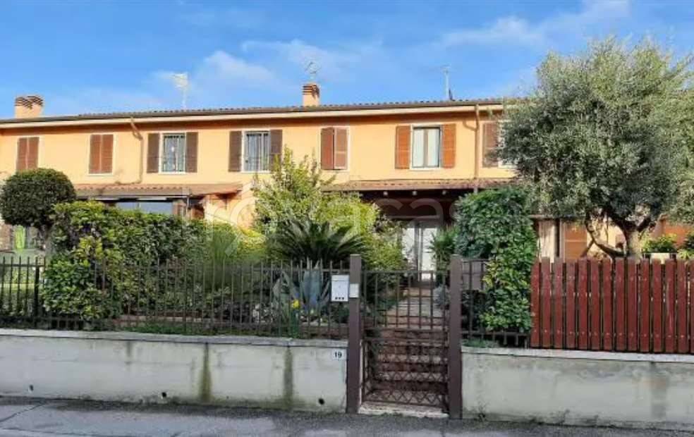 immagine annuncio 7 di 15