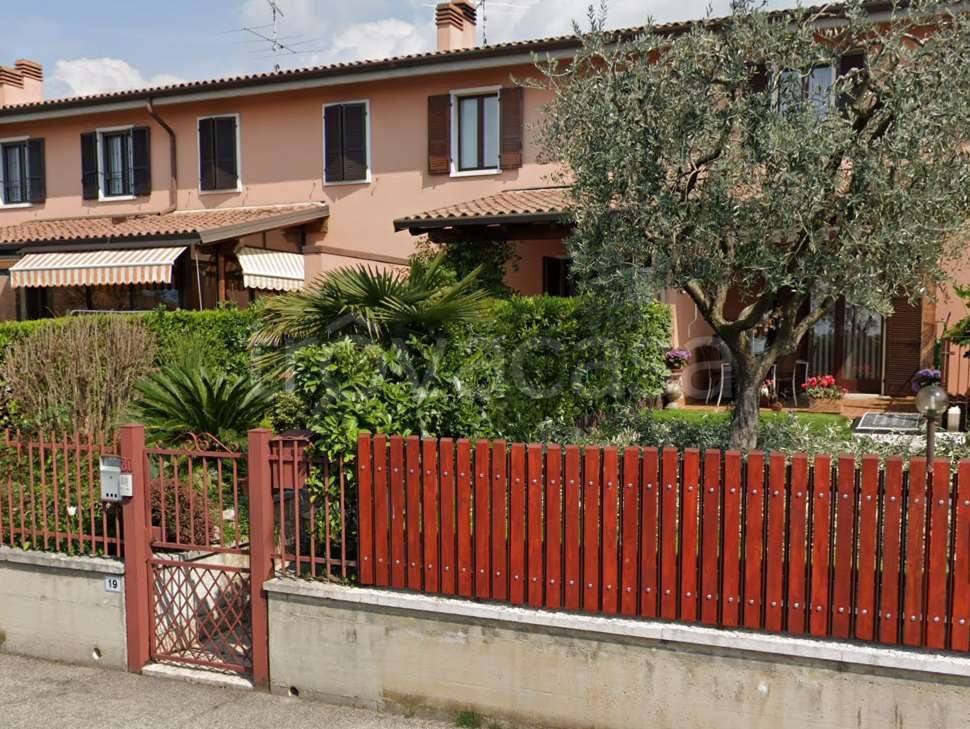 immagine annuncio 12 di 15