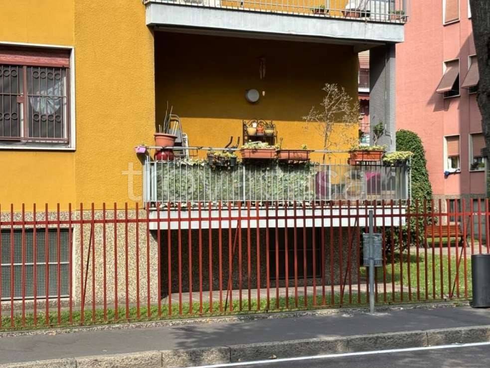 immagine annuncio 9 di 15