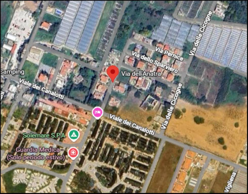 immagine annuncio 11 di 12