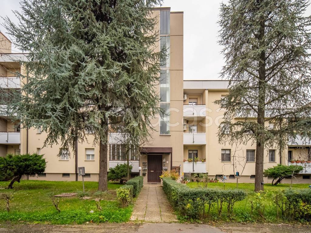 immagine annuncio 6 di 7