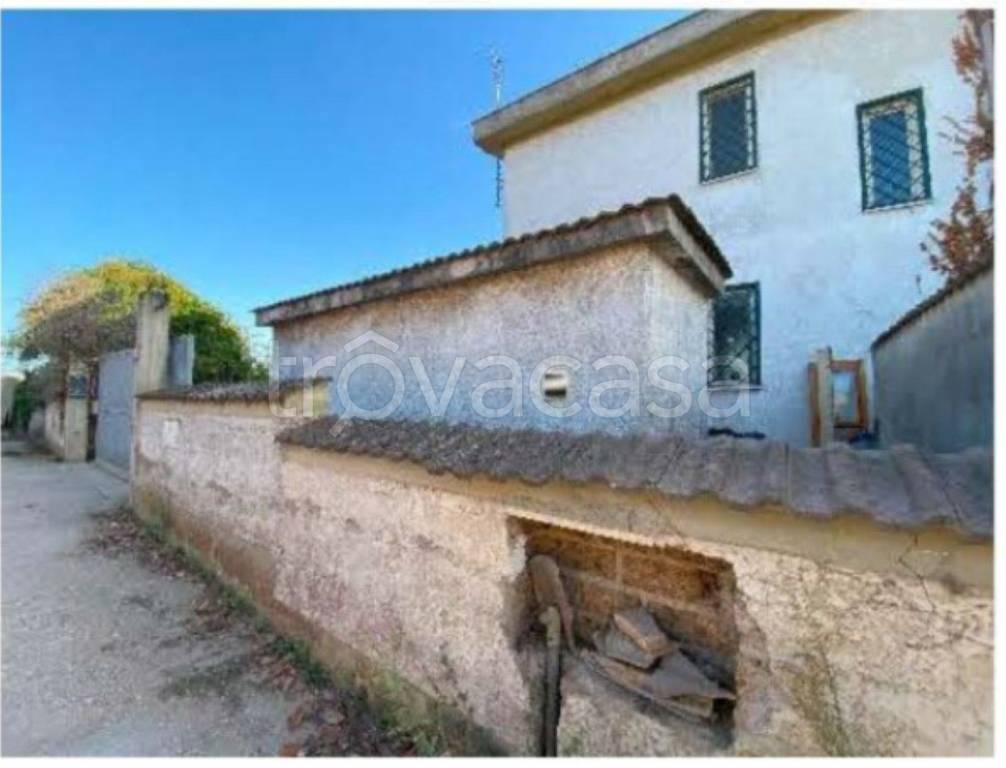 immagine annuncio 2 di 11