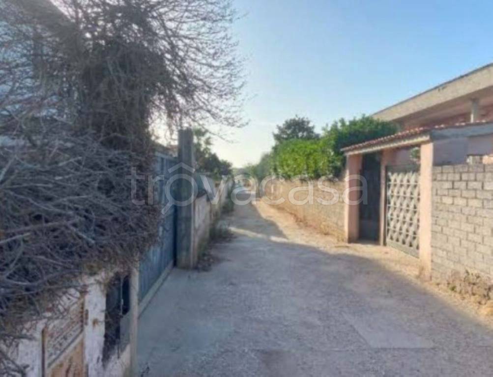 immagine annuncio 5 di 11