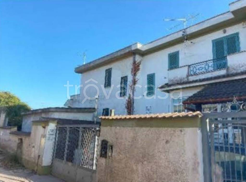 immagine annuncio 6 di 11