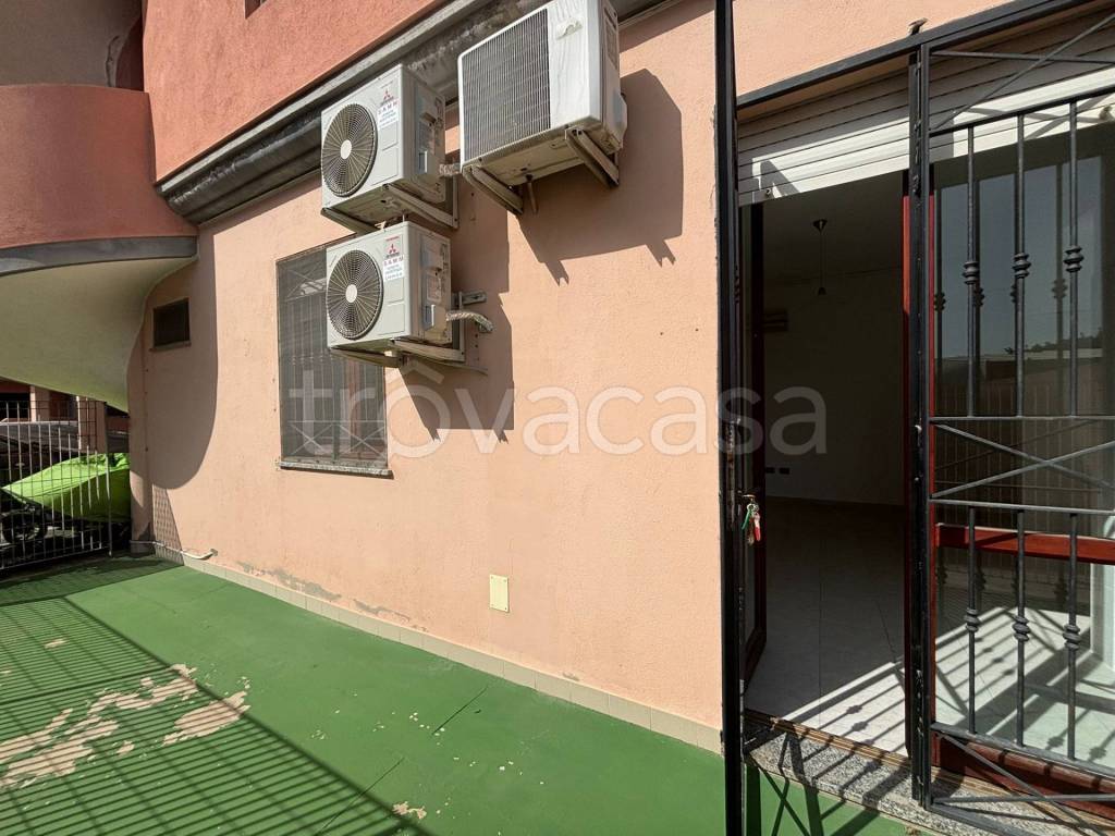 immagine annuncio 5 di 12