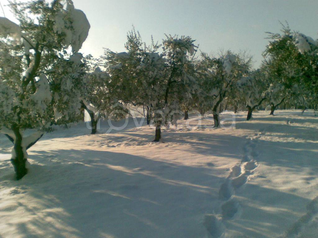 immagine annuncio 8 di 11