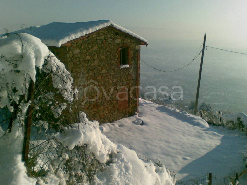 immagine annuncio 9 di 11