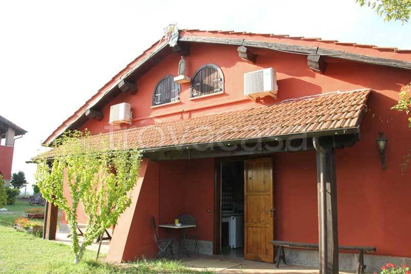 immagine annuncio 3 di 12