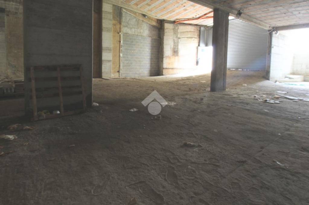 immagine annuncio 2 di 11