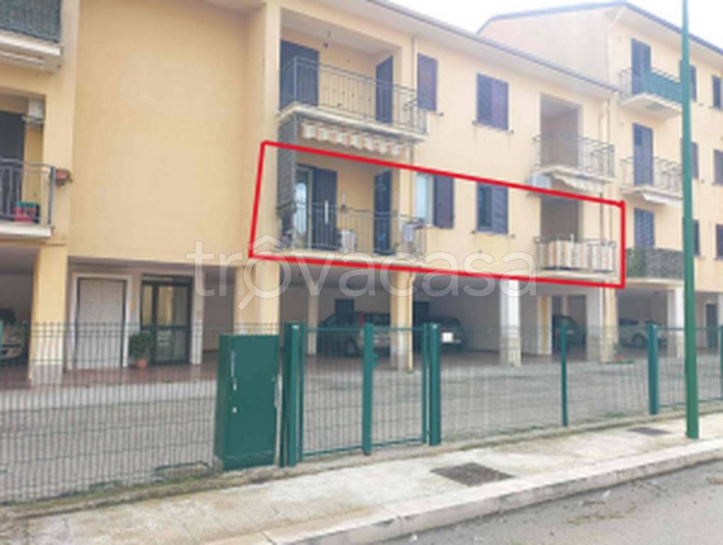 immagine annuncio 10 di 11