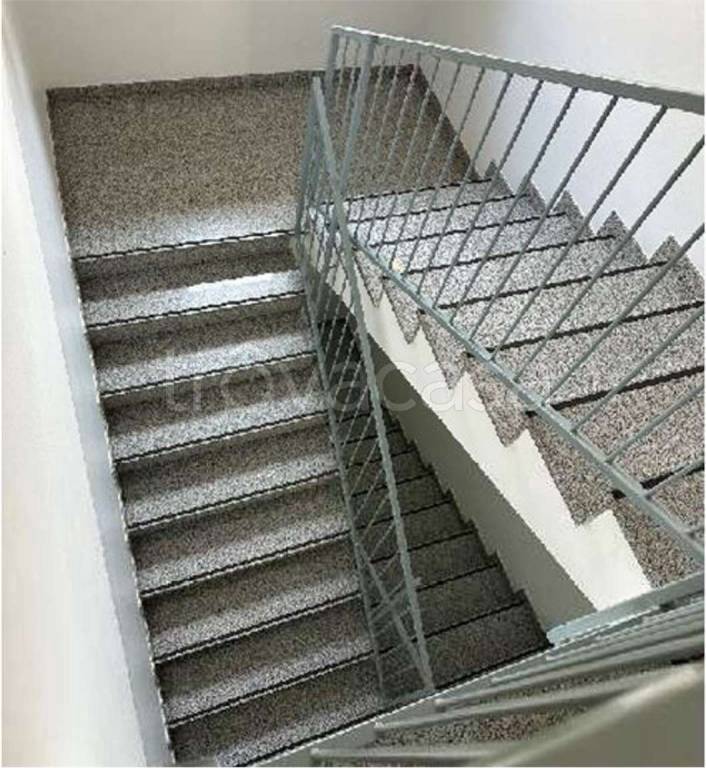 immagine annuncio 6 di 14