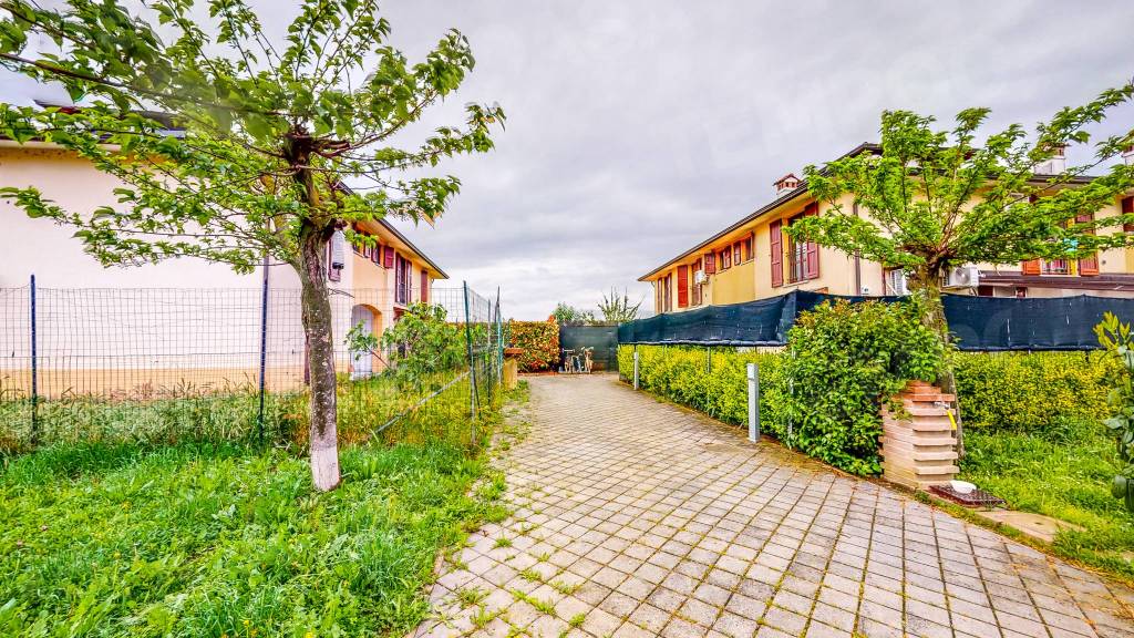 immagine annuncio 1 di 15