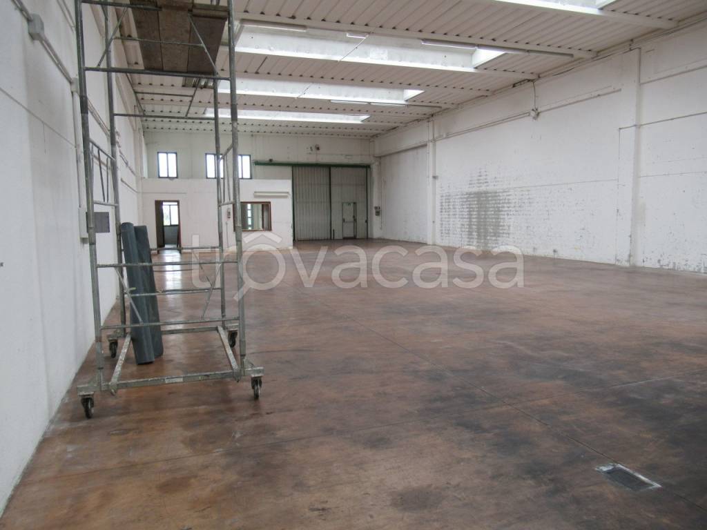 immagine annuncio 2 di 12