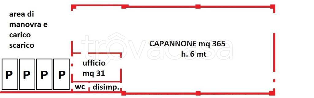 immagine annuncio 4 di 12